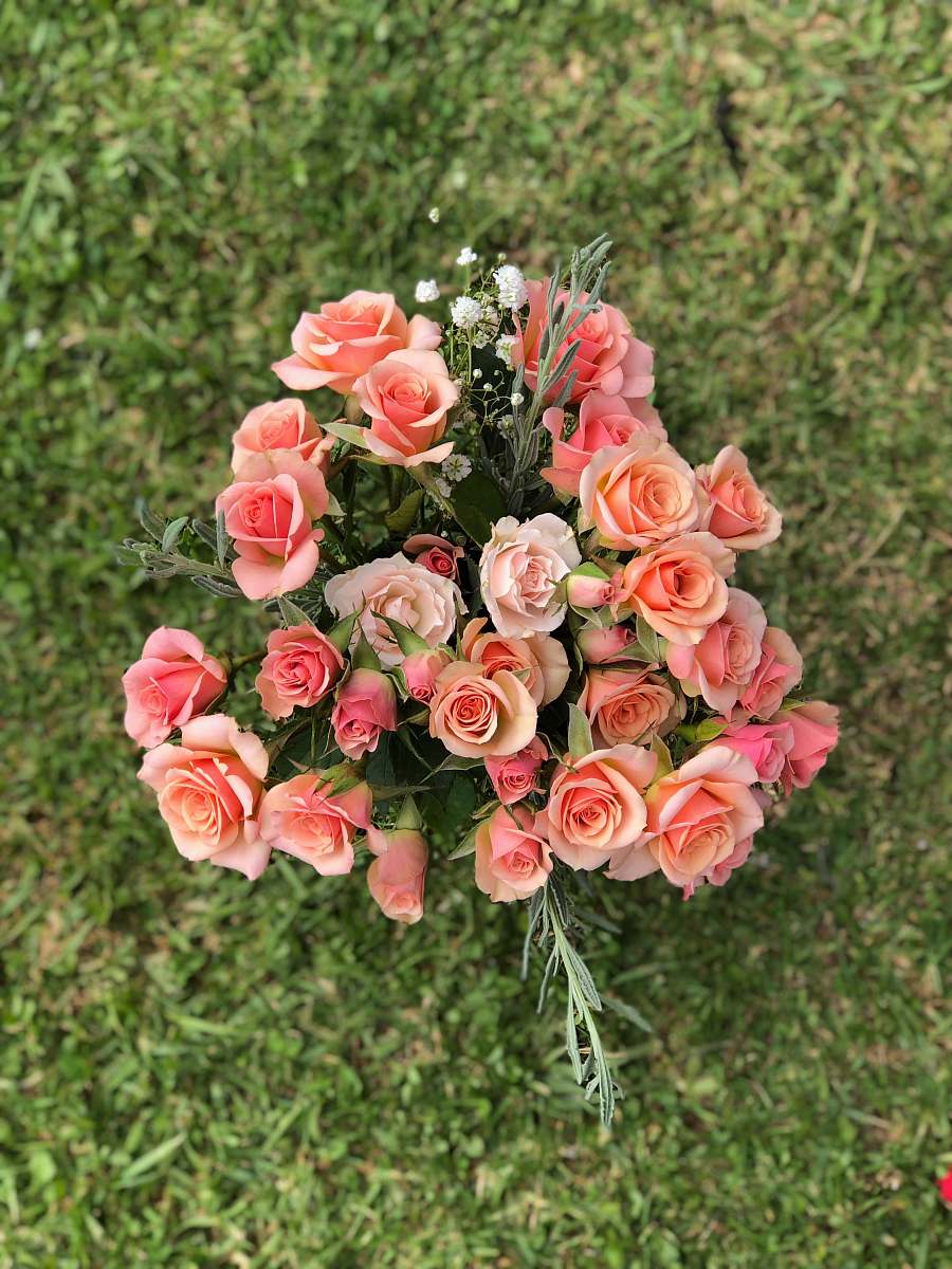 flower arrangement close-up photography of pink rose flowers blossom